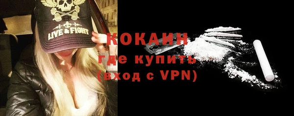 индика Балахна