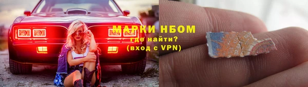 индика Балахна