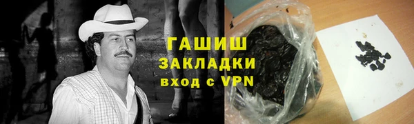 индика Балахна