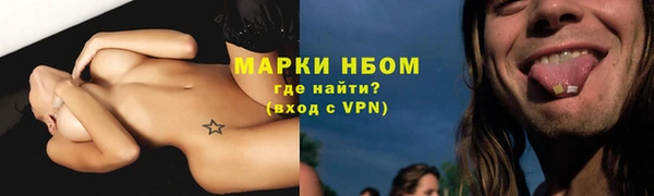 прущие грибы Баксан