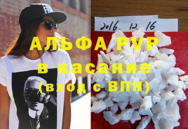 прущие грибы Баксан