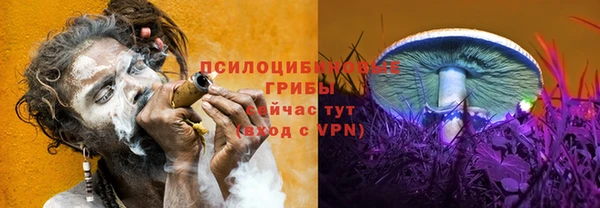 соль ск Армянск