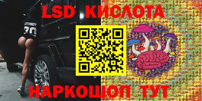 мяу мяу кристалл Аша