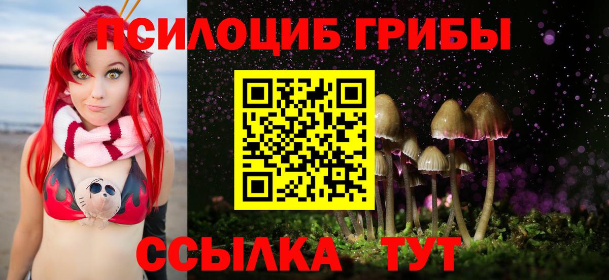 Галлюциногенные грибы Psilocybe Кондопога