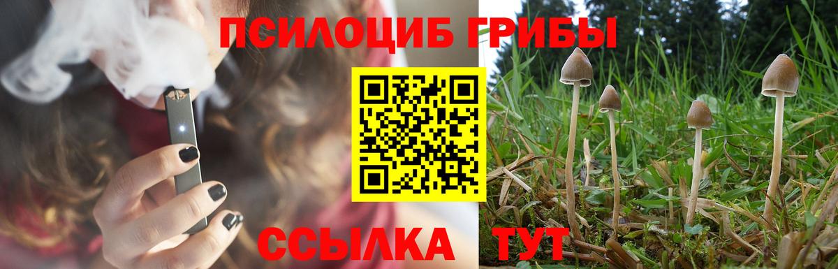 Галлюциногенные грибы мухоморы  где купить наркотик  Кондопога  Вход с VPN 
